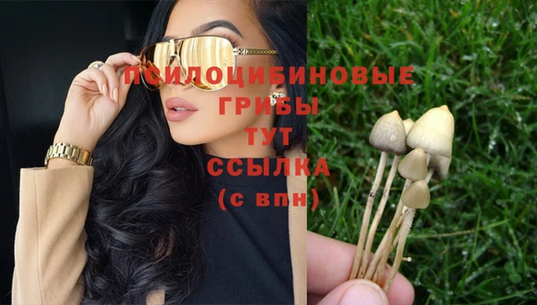 гидропоника Володарск