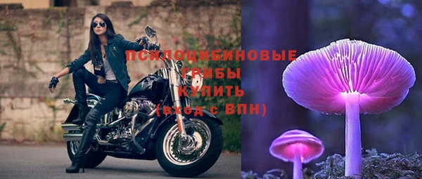 прущие крисы Верхний Тагил