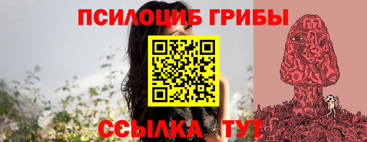 Галлюциногенные грибы Cubensis  Вход с VPN  Назарово  Галлюциногенные грибы прущие грибы 